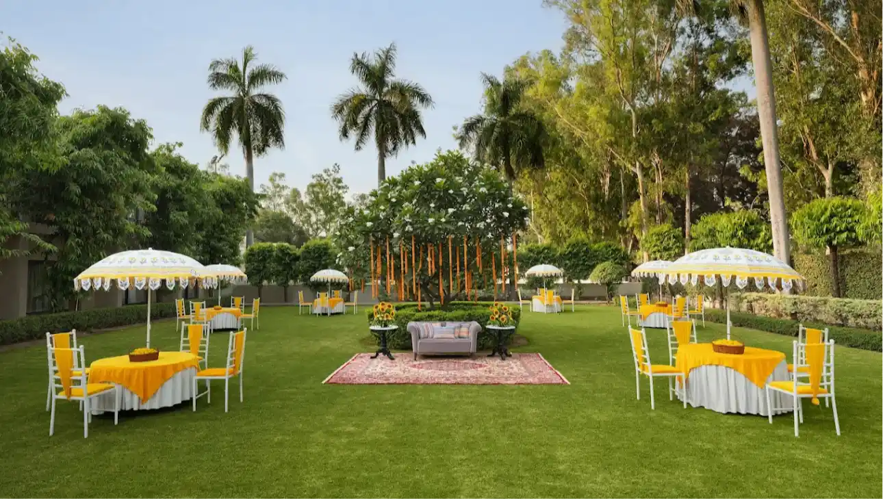 GARDEN LAWN